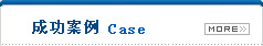 成功案例